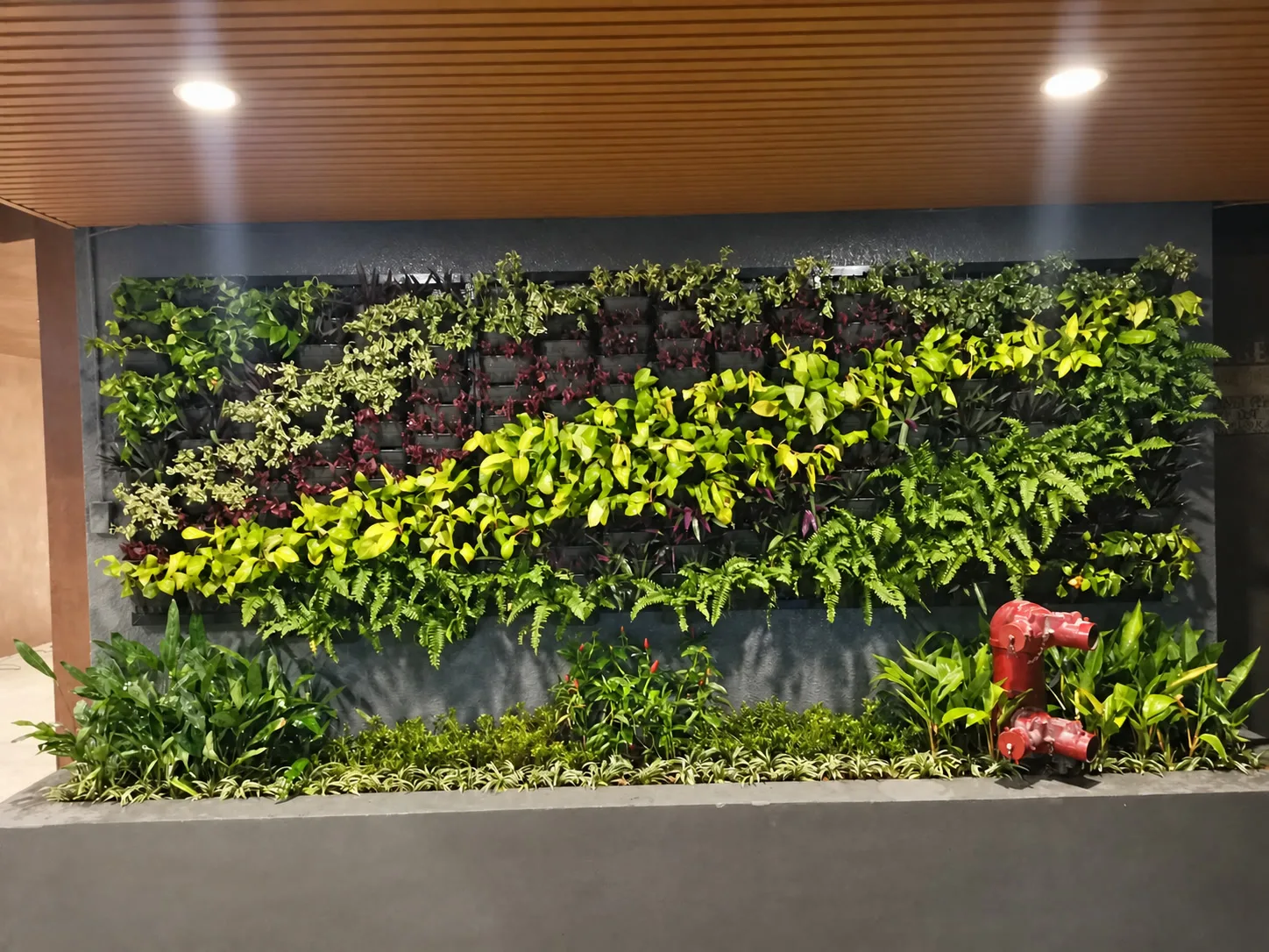 Living wall installation at Pacquiao Mansion