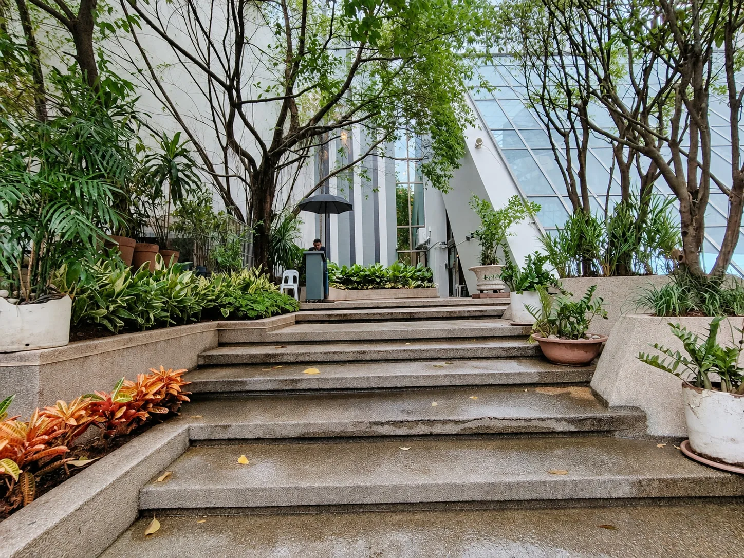 Wet concrete steps rising between mature trees and planted beds toward the building entrance