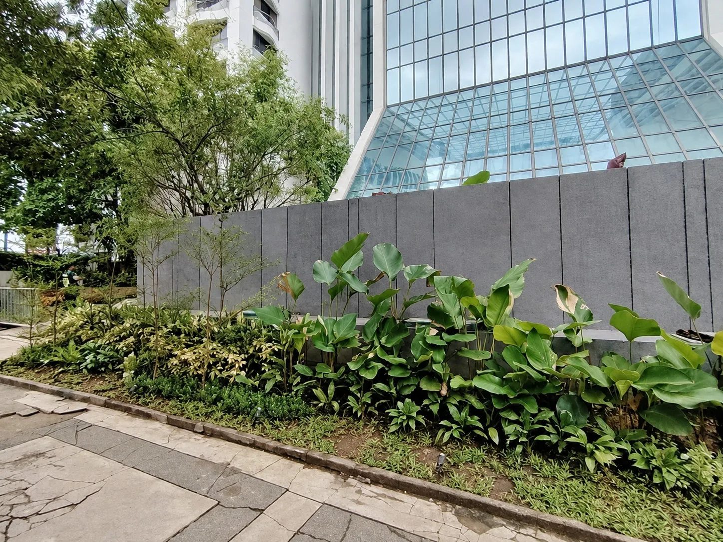 Mixed tropical planting and young trees beneath the building's glass facade