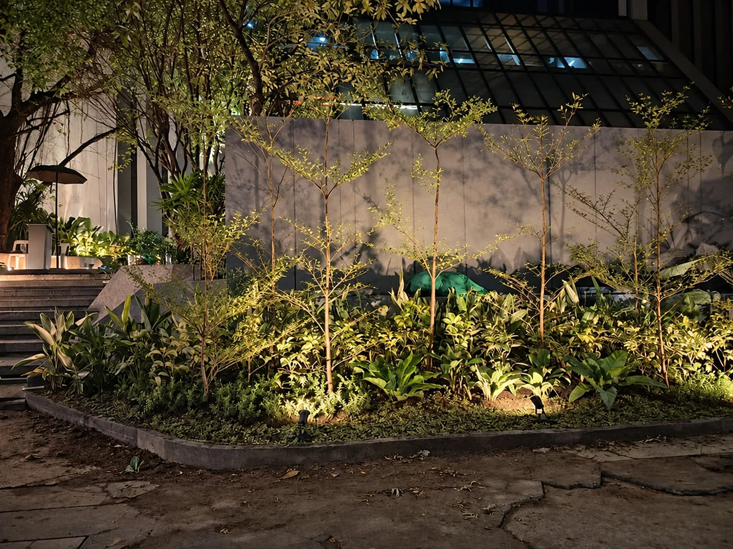 Warm landscape lights illuminating layered foliage and slender trees at night
