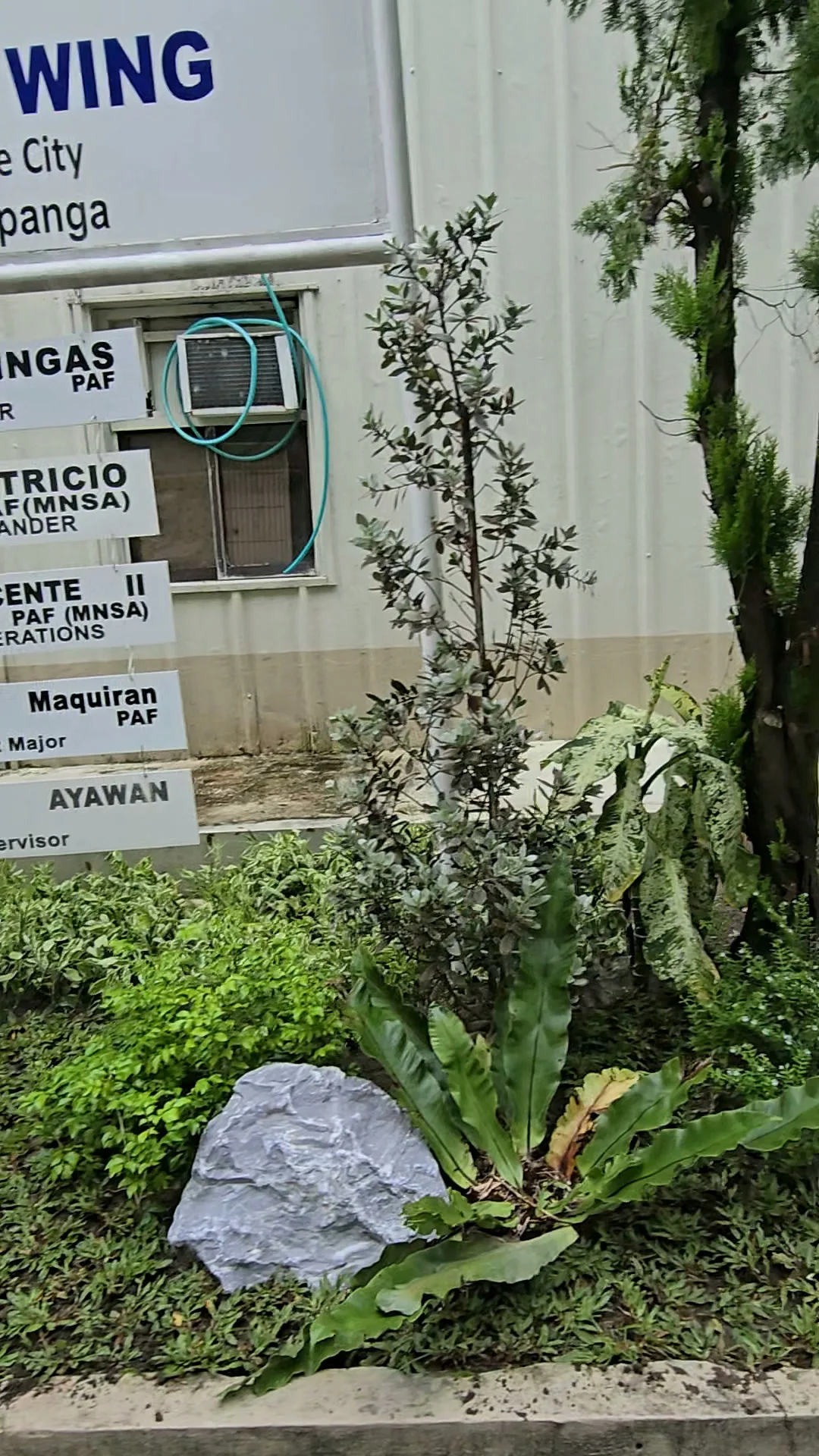 Ferns, shrubs, and landscape rocks planted below institutional signage