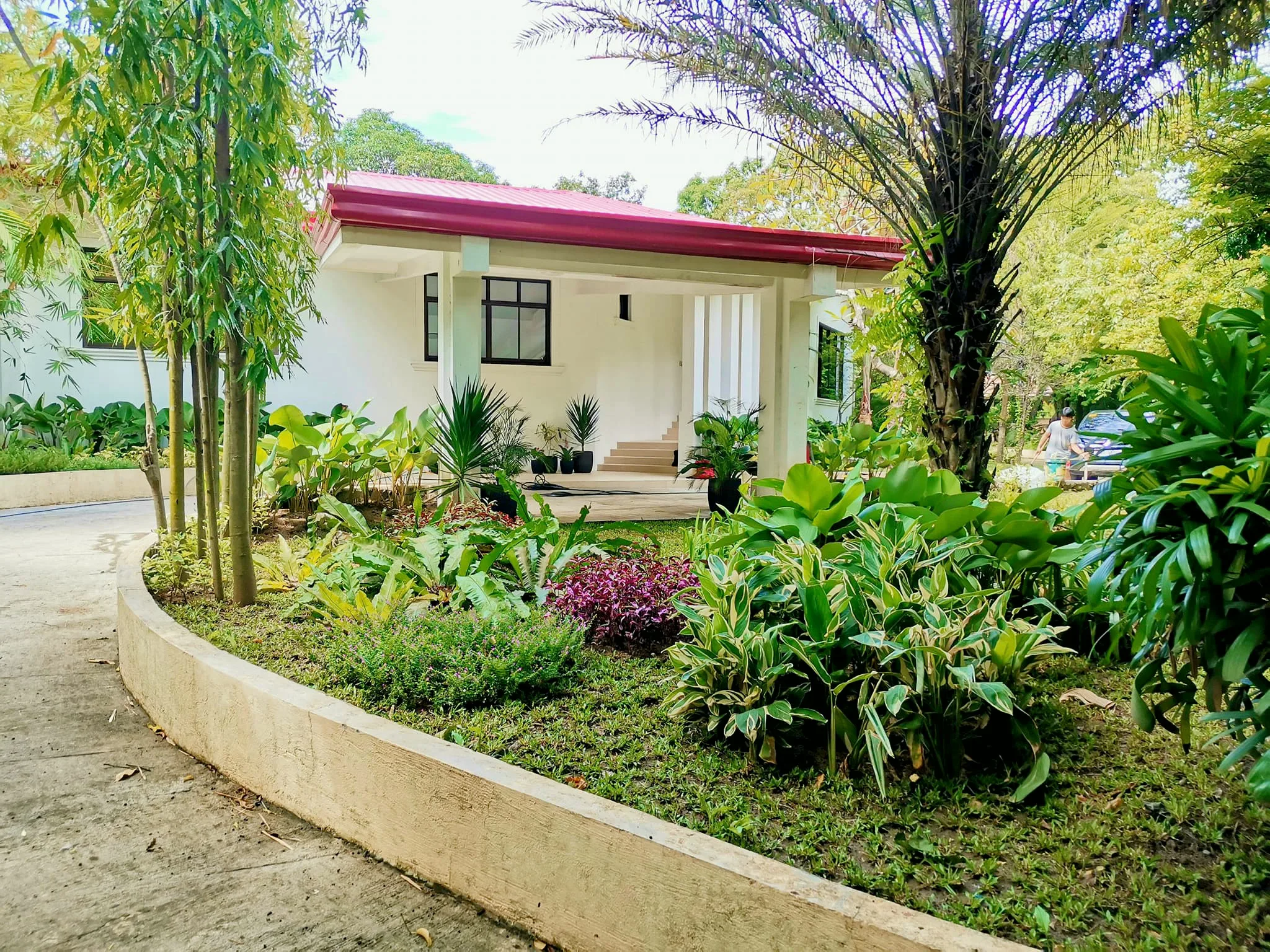 Tropical garden framing the residence at South Forbes