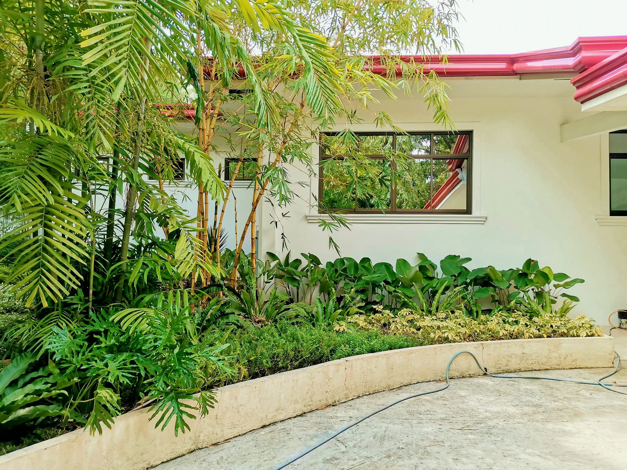 Layered palms and broad-leaf planting beside the white residence wall